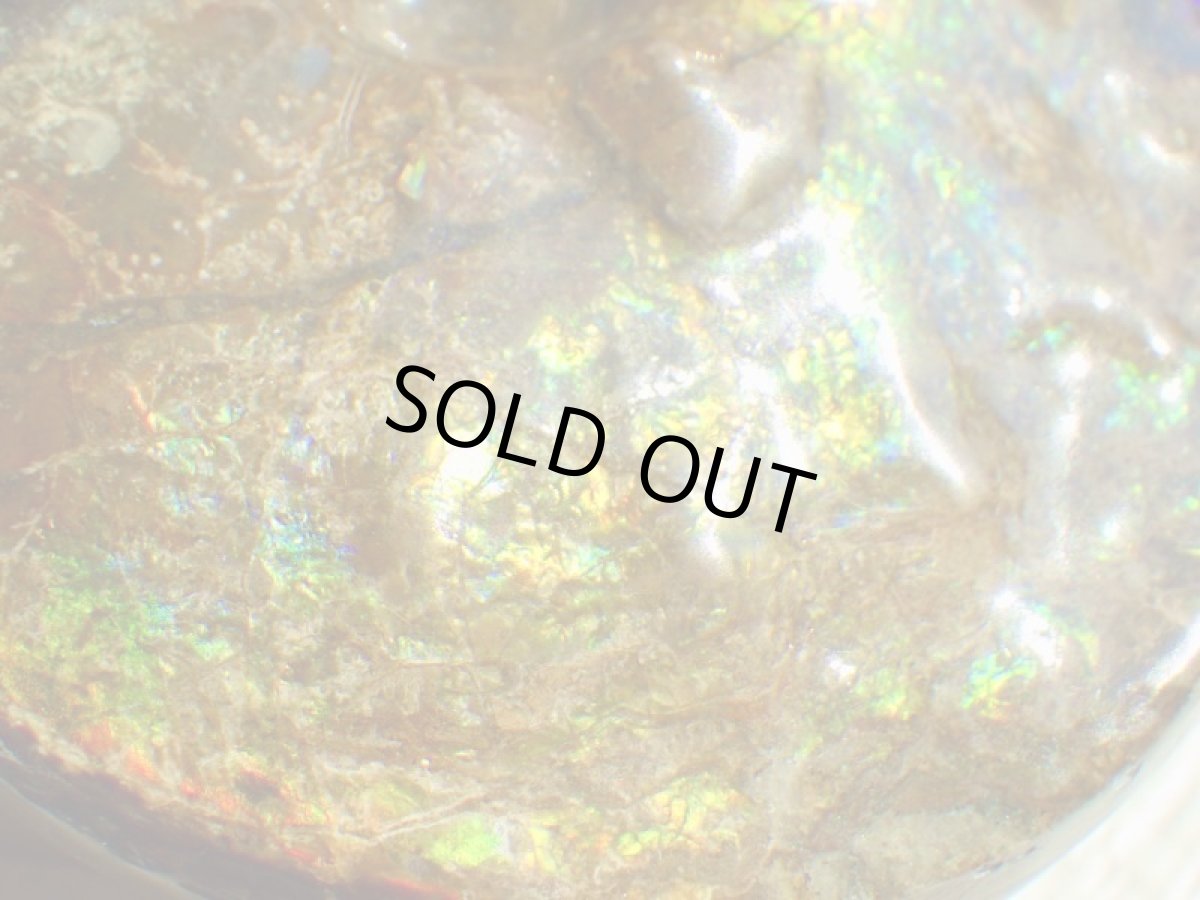 画像9: アンモライト完全体C (9)