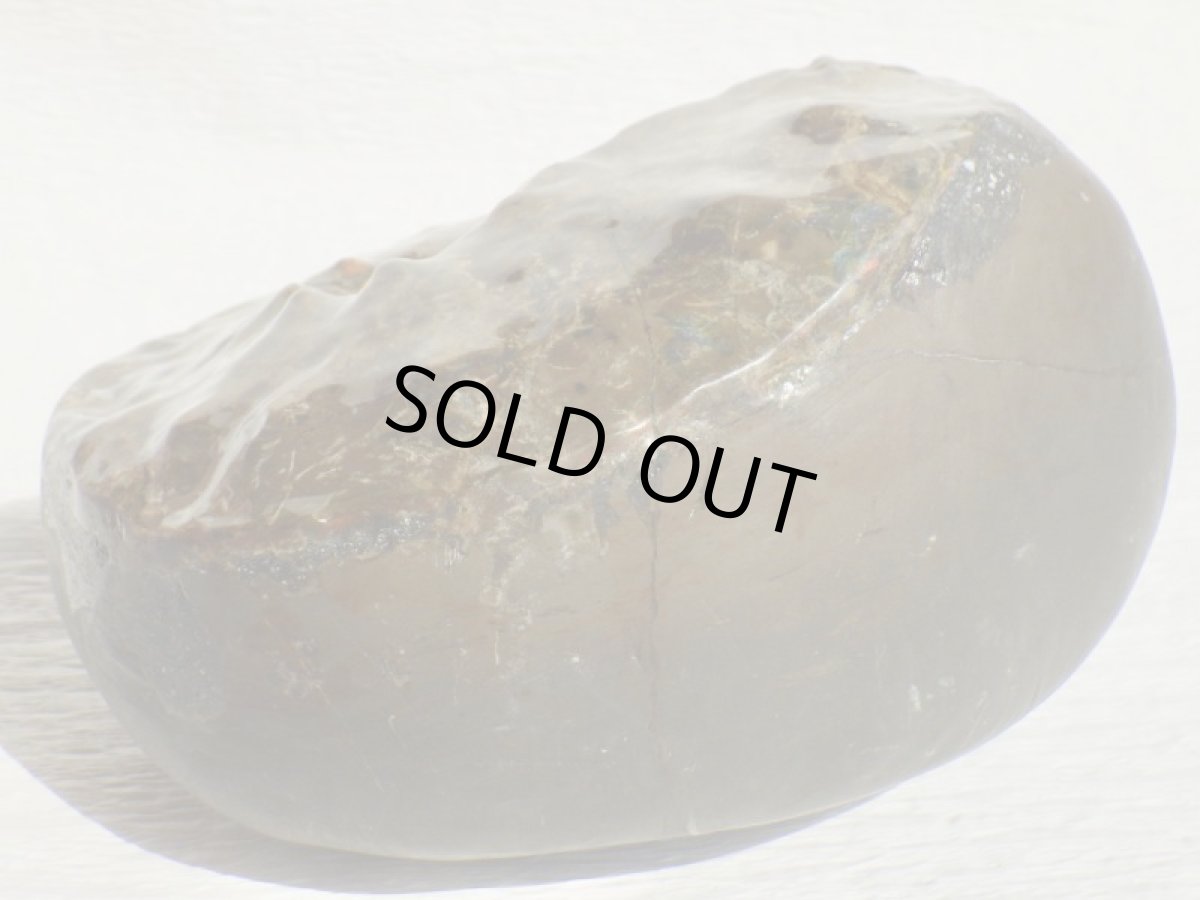 画像7: アンモライト完全体C (7)