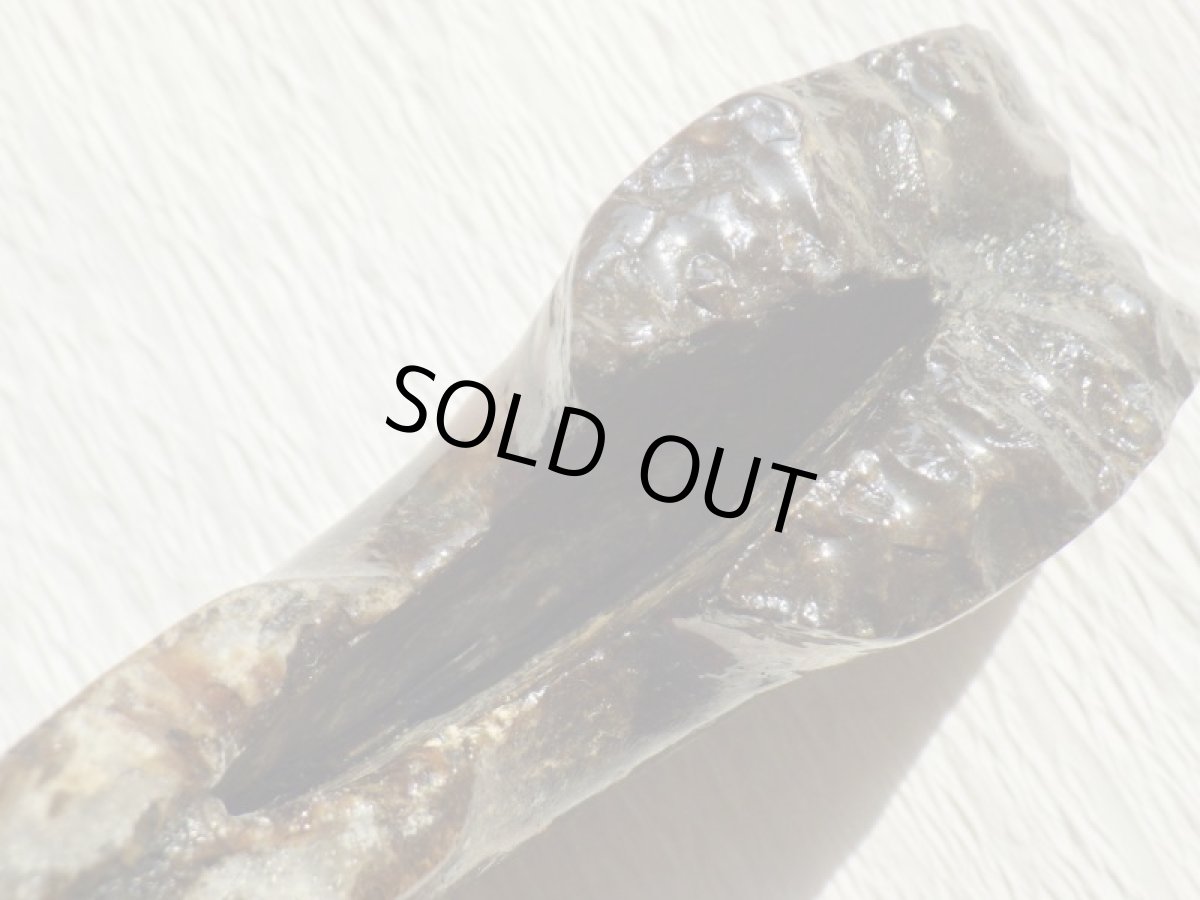 画像13: アンモライト完全体B (13)