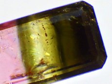 画像3: リディコータイトＤ　3.5ct (3)