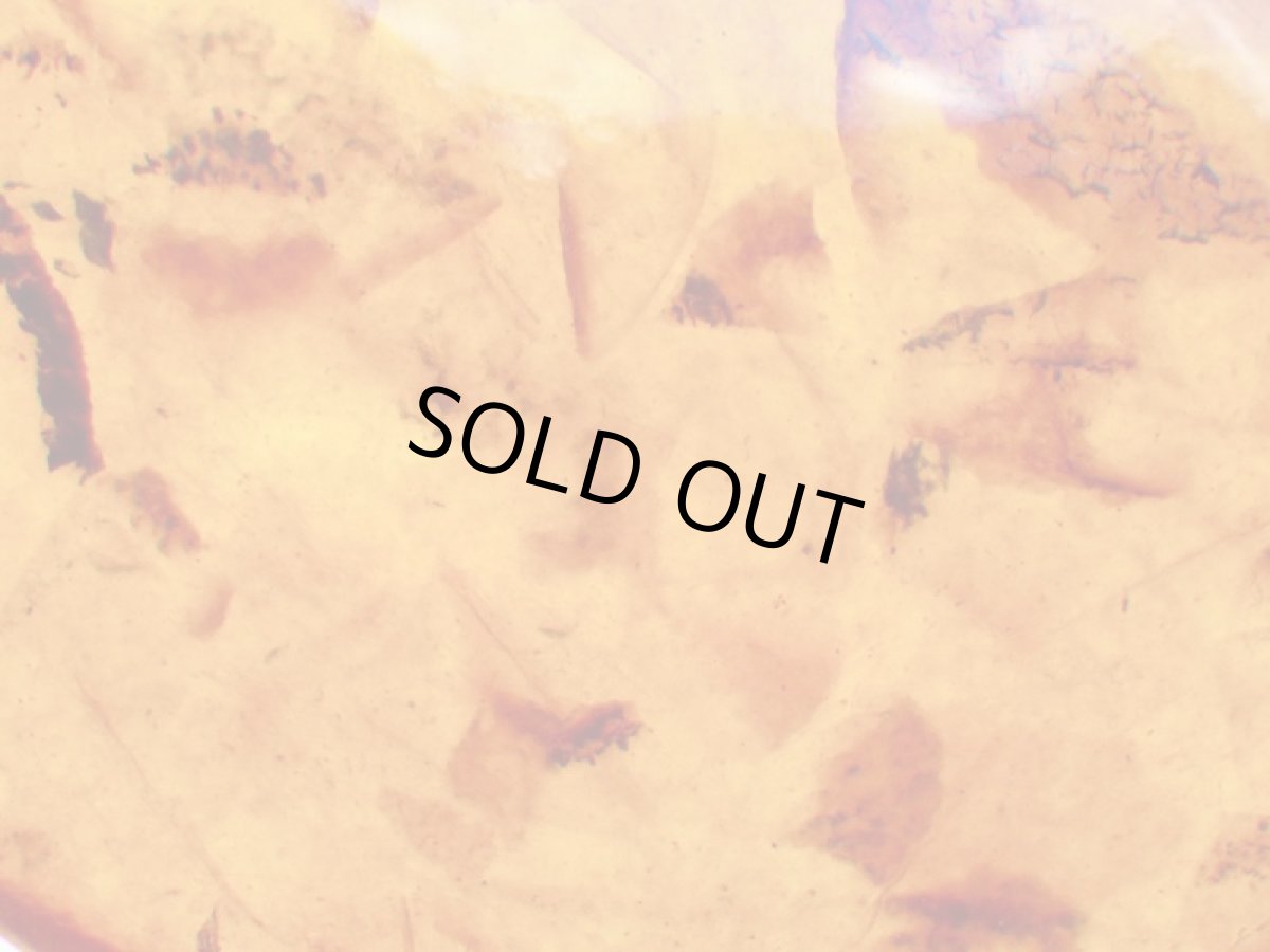 画像4: 875SVバルティックアンバーヴィンテージペンダントＢ (4)