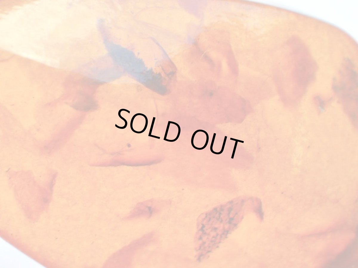 画像5: 875SVバルティックアンバーヴィンテージペンダントＡ (5)