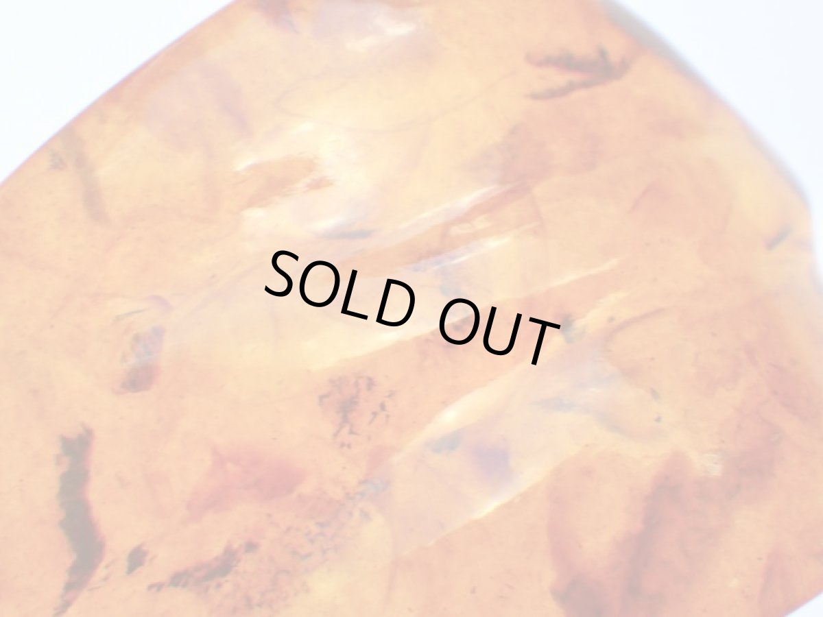 画像6: 875SVバルティックアンバーヴィンテージペンダントＢ (6)