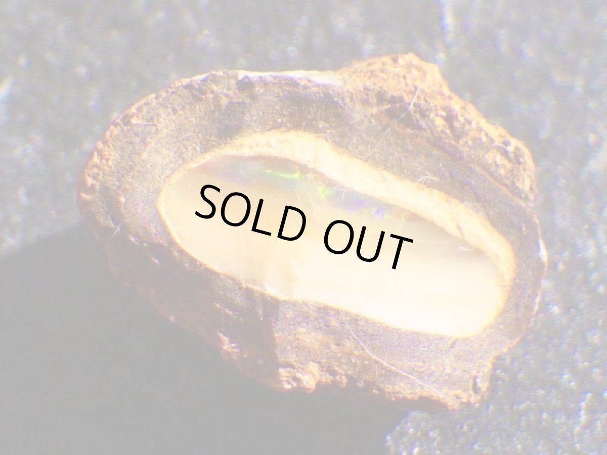 画像4: ミニナッツオパールＡ (4)