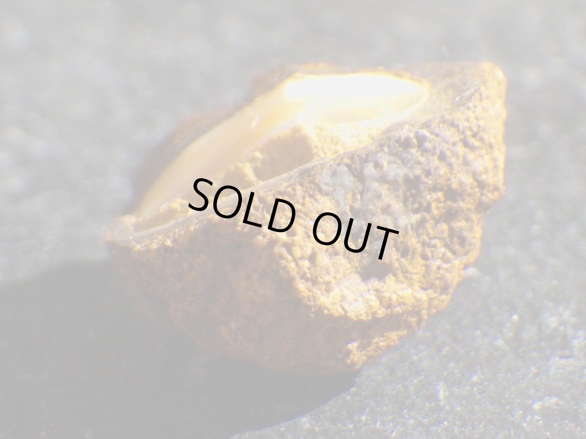 画像5: ミニナッツオパールＡ (5)