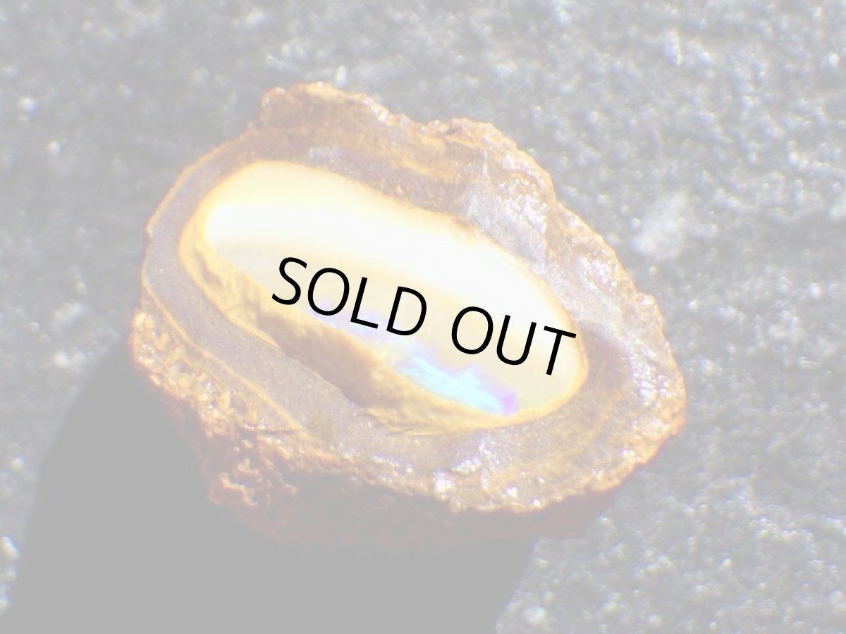 画像1: ミニナッツオパールＡ (1)