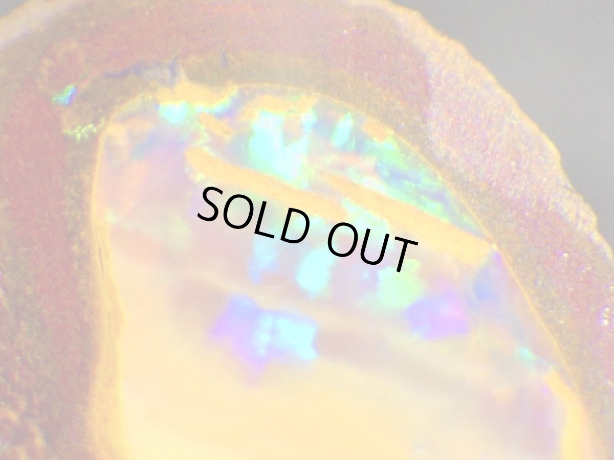 画像4: ミニナッツオパールＣ (4)