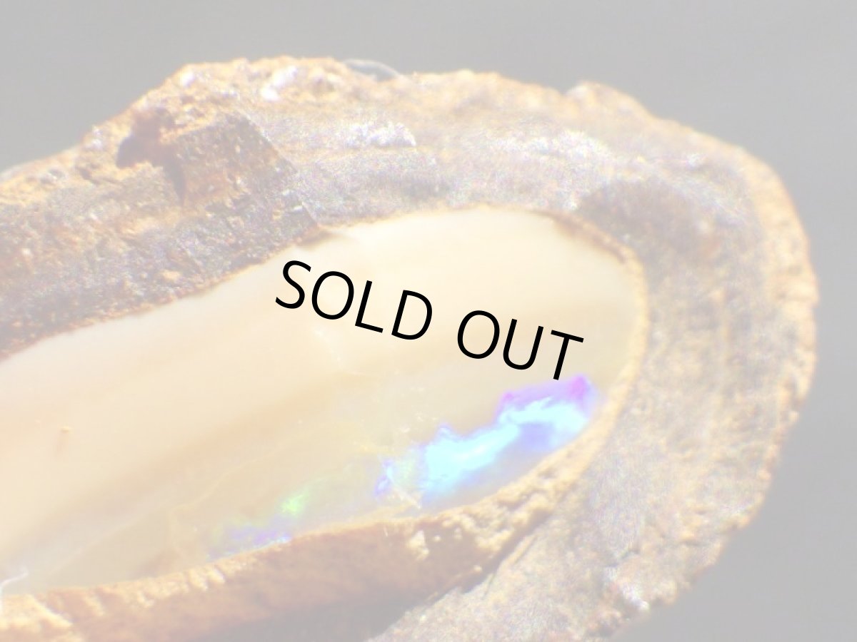 画像2: ミニナッツオパールＡ (2)