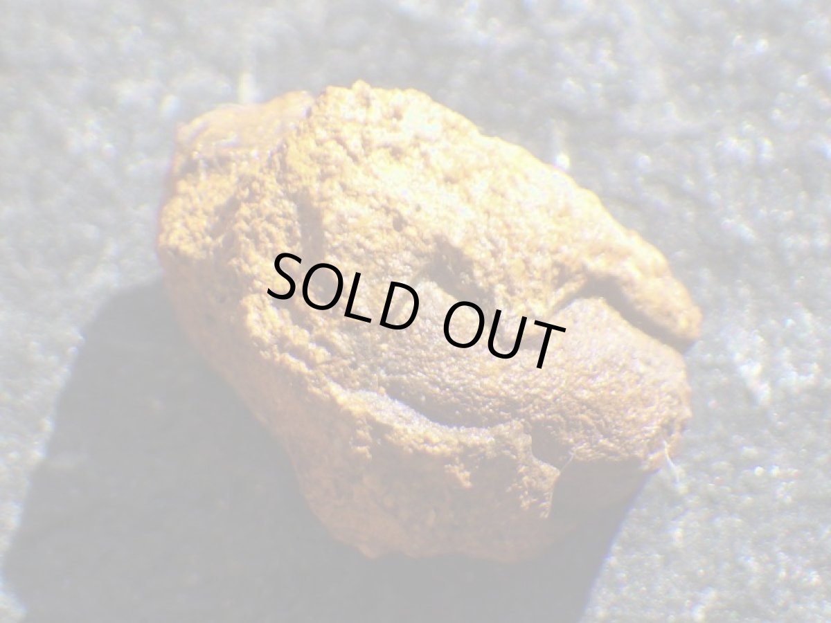 画像6: ミニナッツオパールＡ (6)