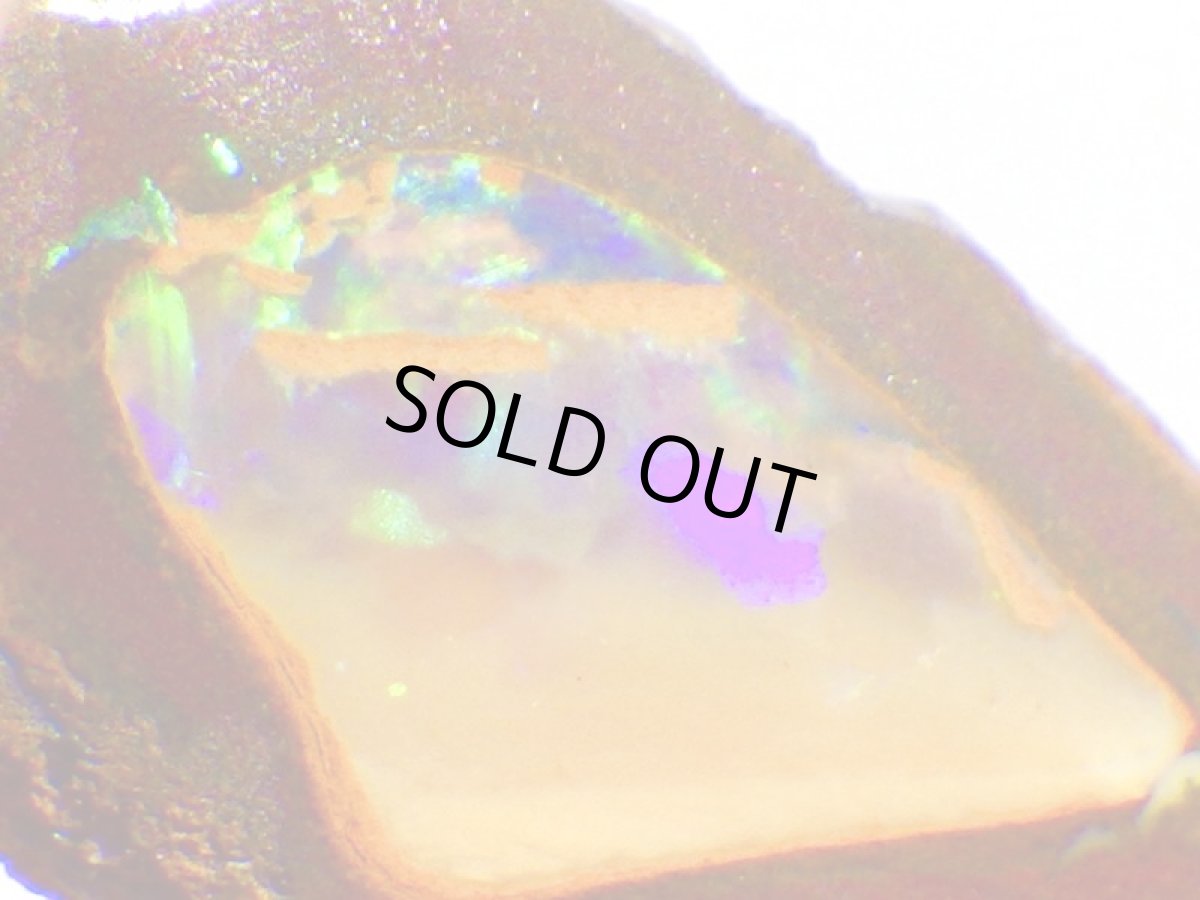 画像2: ミニナッツオパールＣ (2)