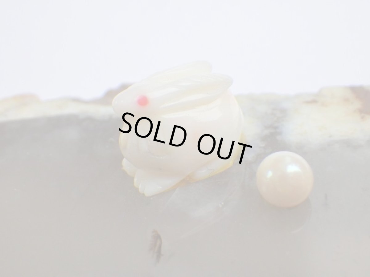 画像3: さんごうさぎ／パールＤ (3)