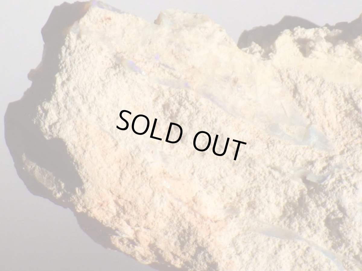 画像5: ブラックオパールＦ (5)