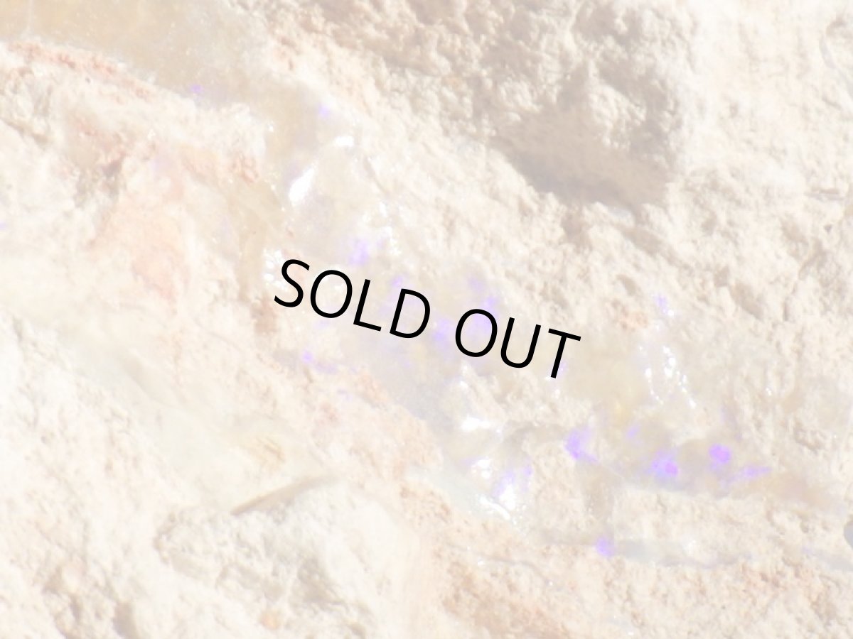 画像1: ブラックオパールＦ (1)