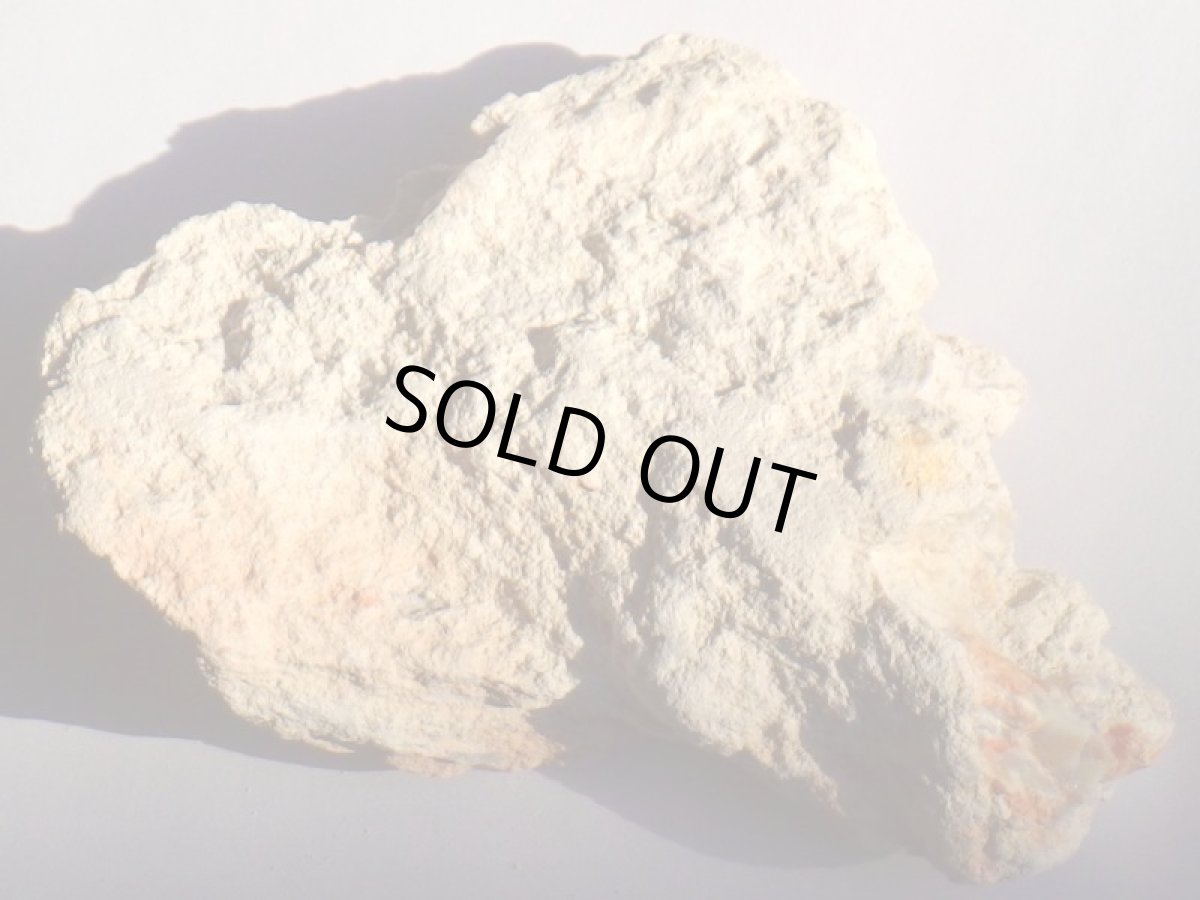 画像6: ブラックオパールＦ (6)