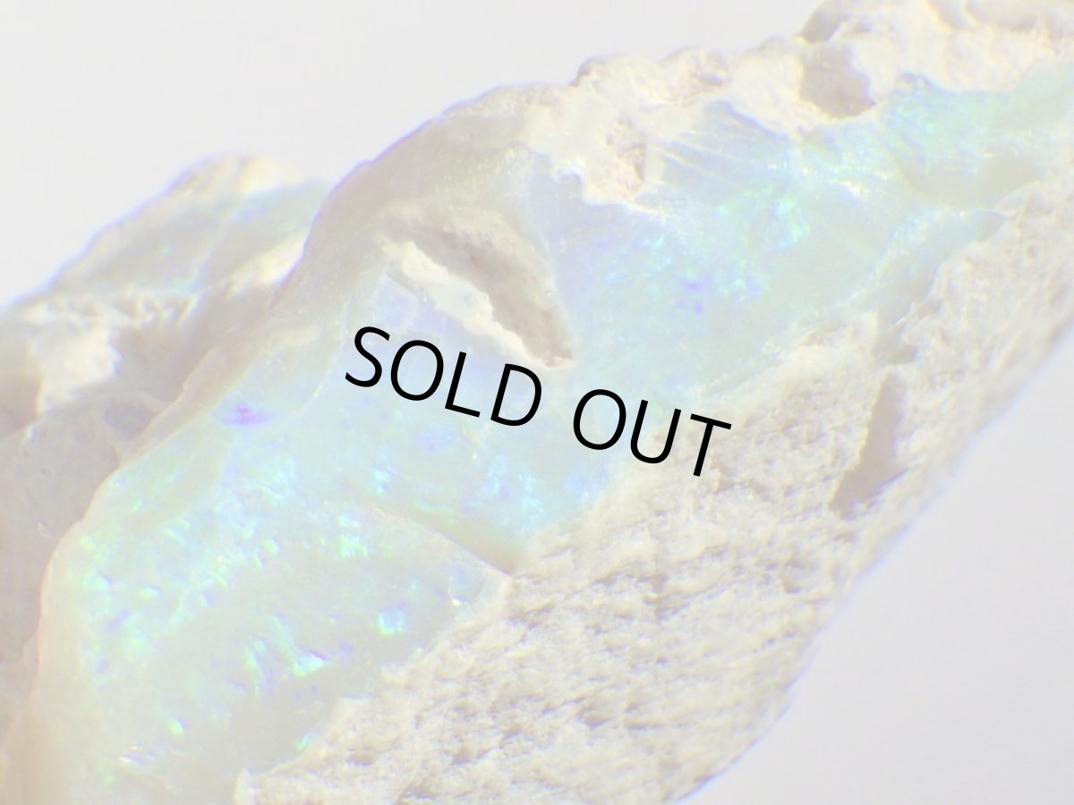 画像1: ブラックオパールＤ (1)