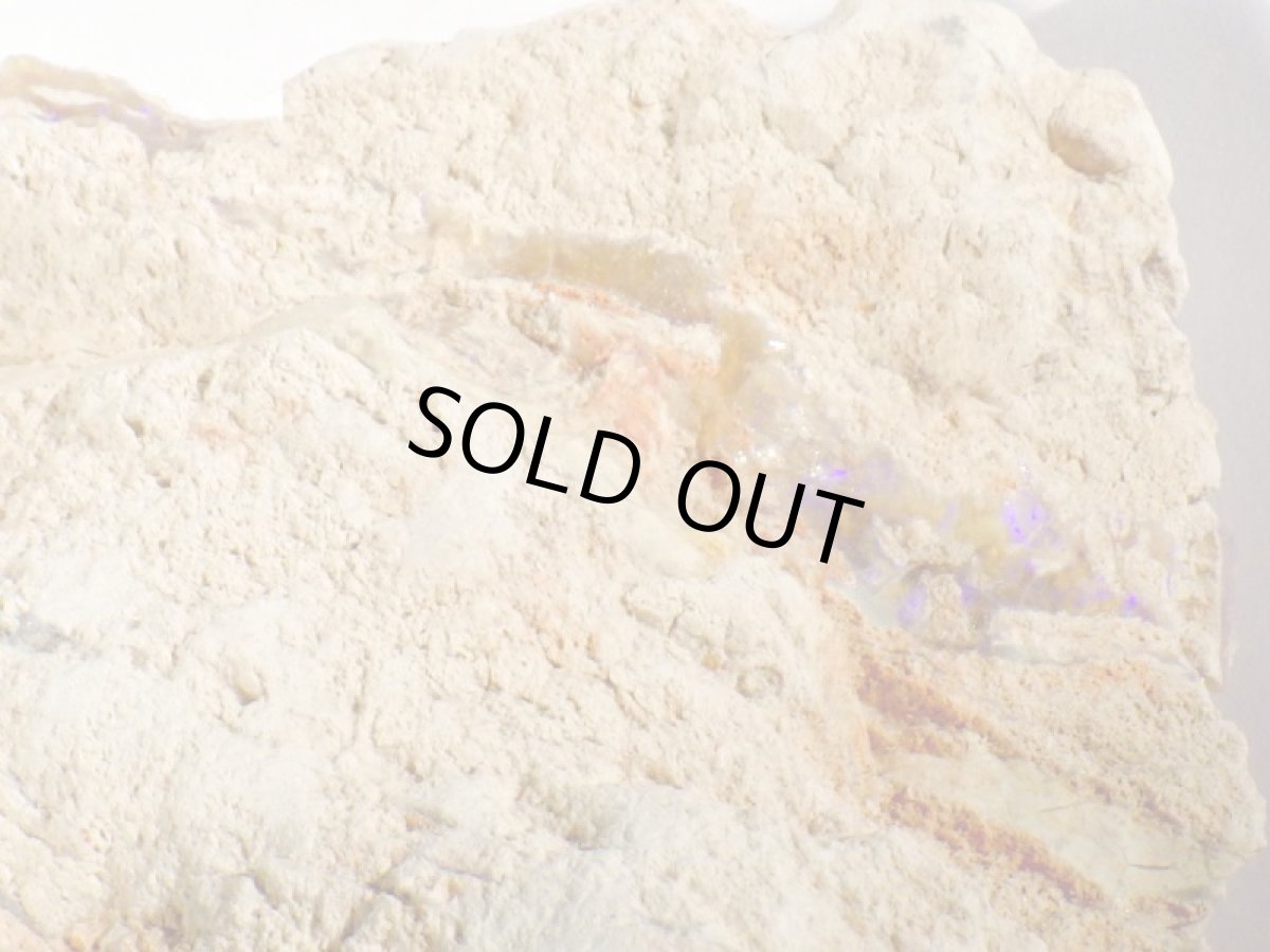 画像3: ブラックオパールＦ (3)