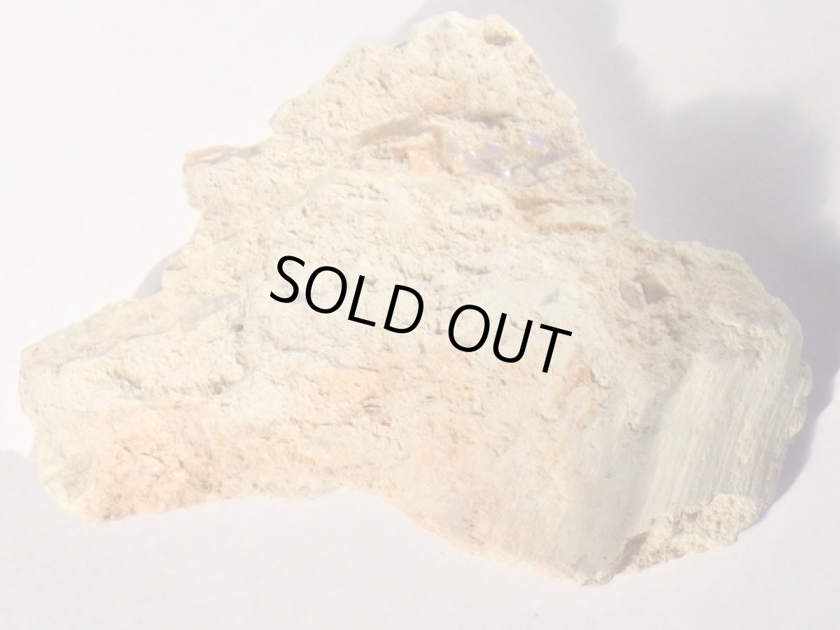 画像2: ブラックオパールＦ (2)