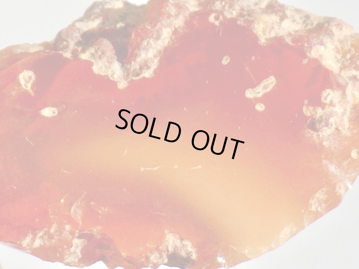 画像4: ファイアオパールＡ (4)