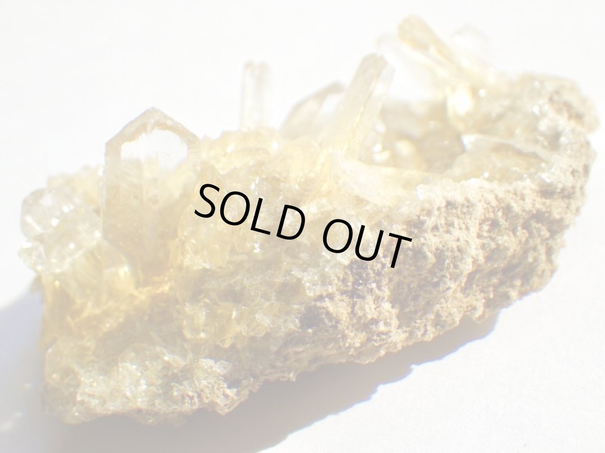 画像4: オレンジジプサムＤ (4)