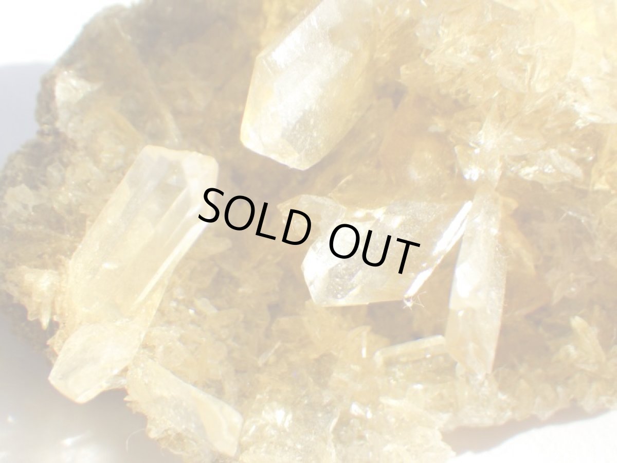 画像6: オレンジジプサムＤ (6)