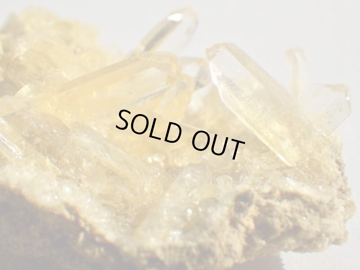 画像1: オレンジジプサムＤ (1)