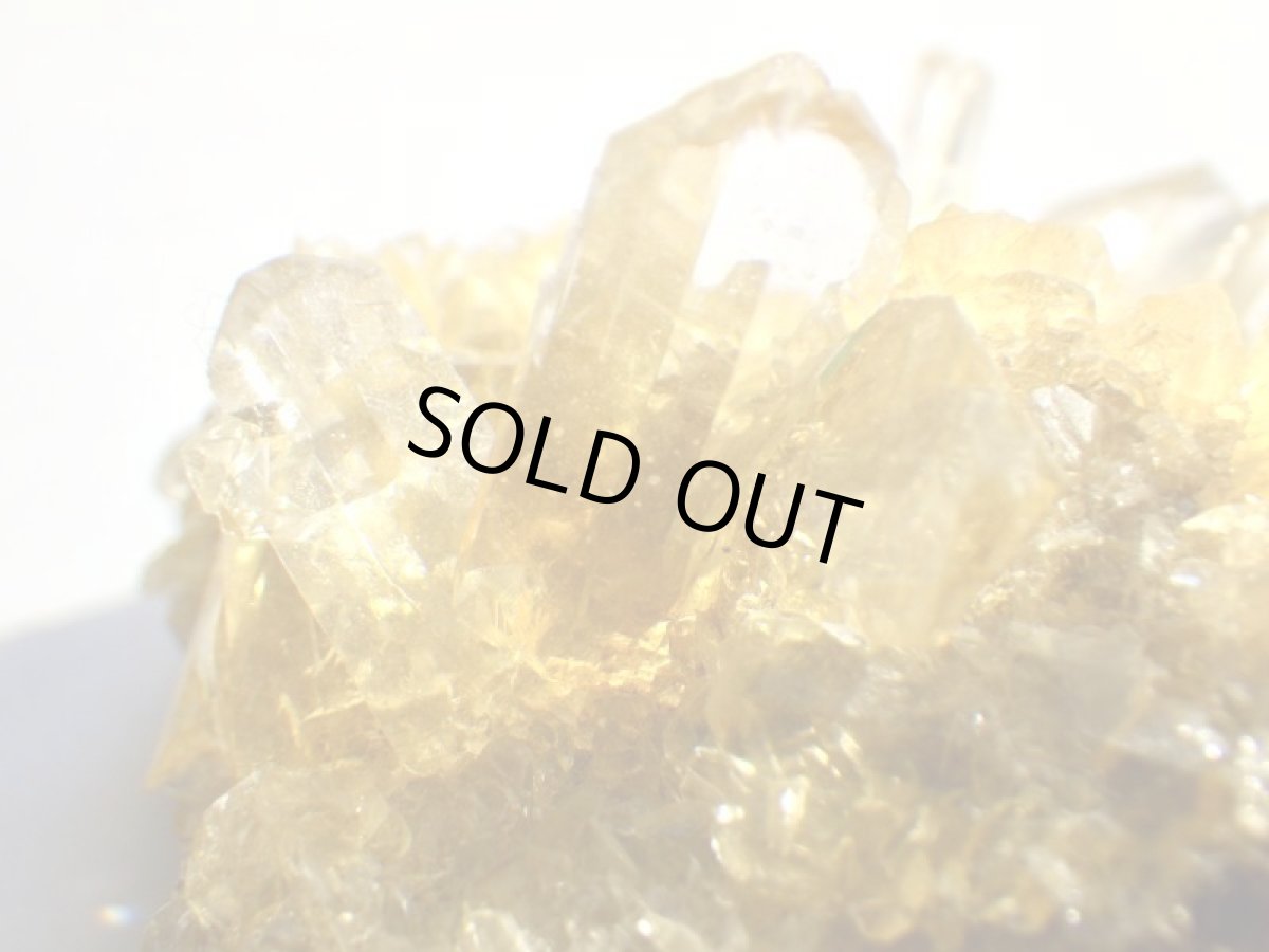 画像5: オレンジジプサムＤ (5)