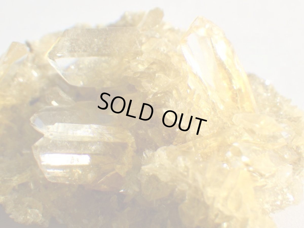 画像3: オレンジジプサムＤ (3)