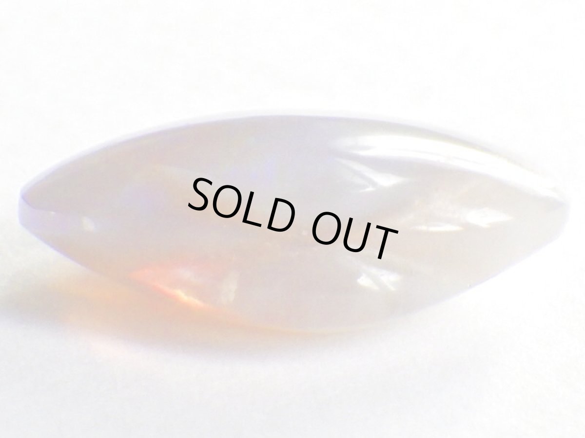 画像4: ライトニングリッジ産オパール化貝化石Ａ (4)