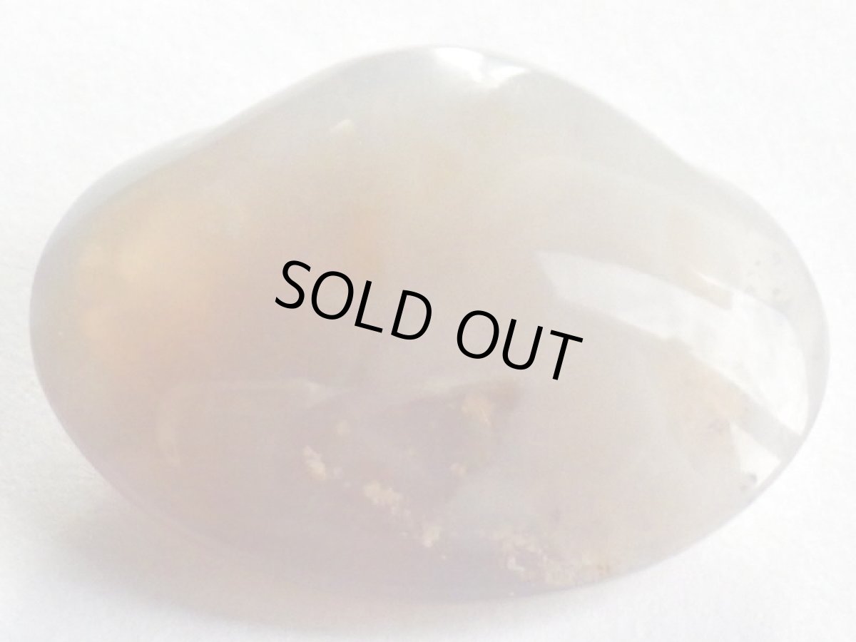 画像3: ライトニングリッジ産オパール化貝化石Ａ (3)