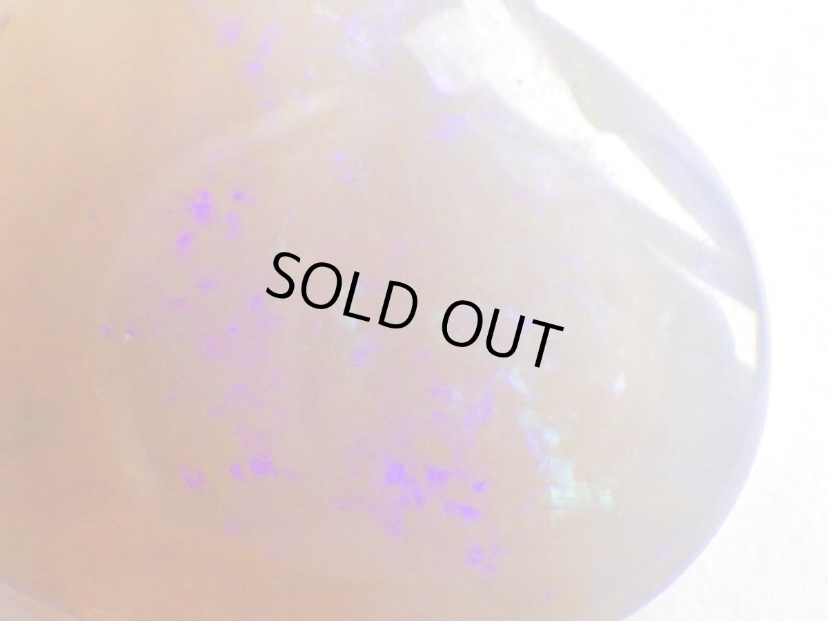 画像2: ライトニングリッジ産オパール化貝化石Ａ (2)