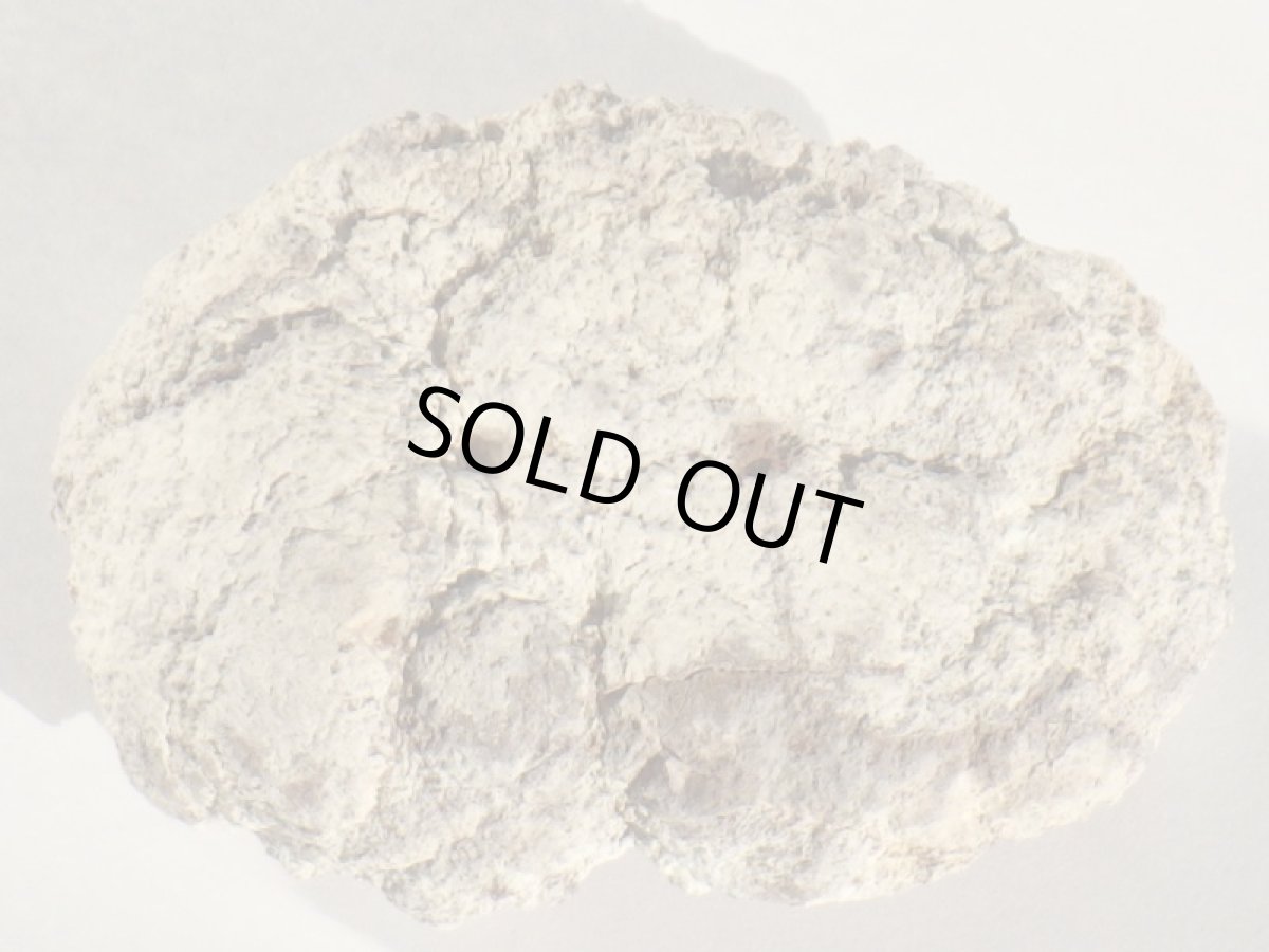 画像5: ピンクアメジストＥ (5)