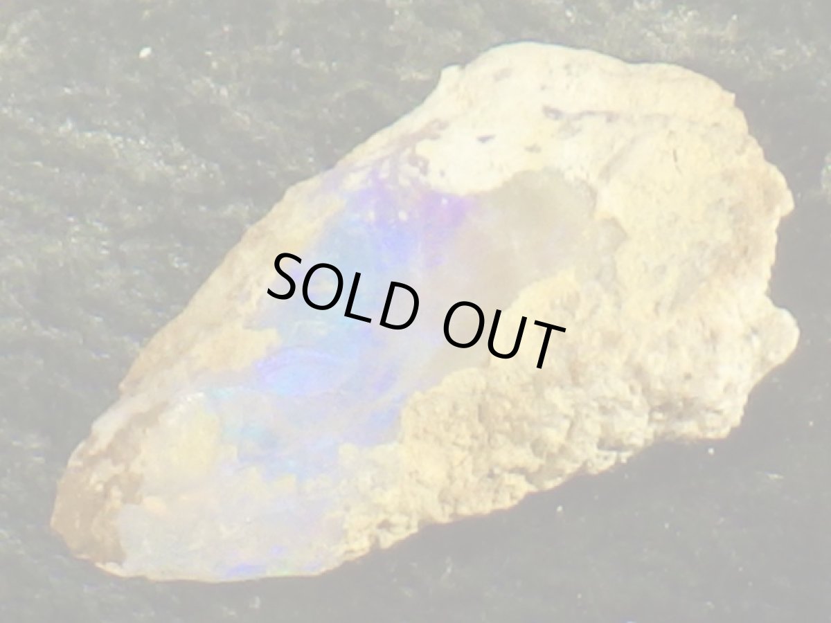 画像2: キルピー産オパールＤ (2)