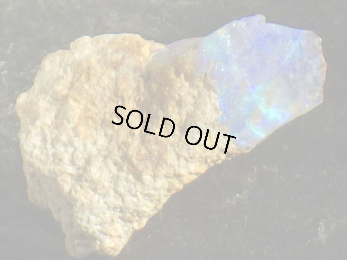 画像4: キルピー産オパールＤ (4)