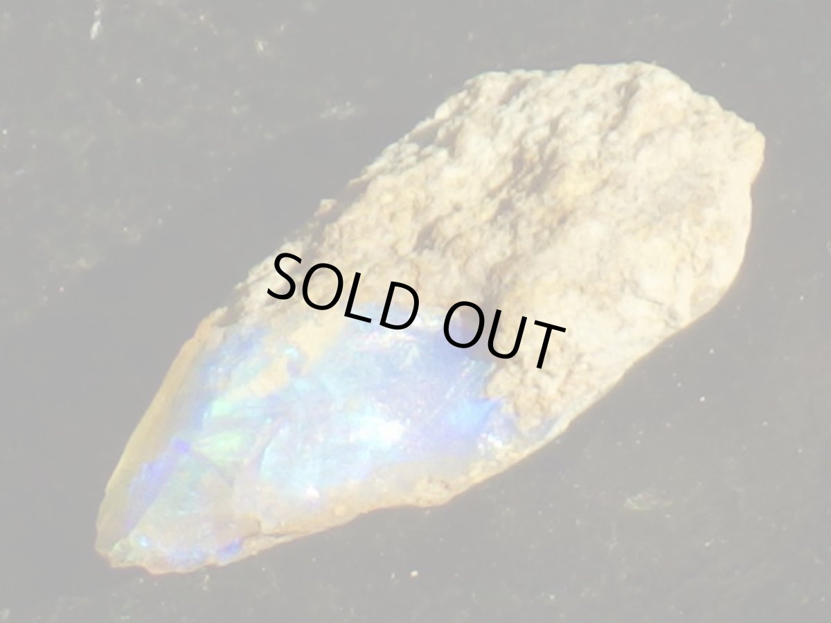 画像5: キルピー産オパールＤ (5)