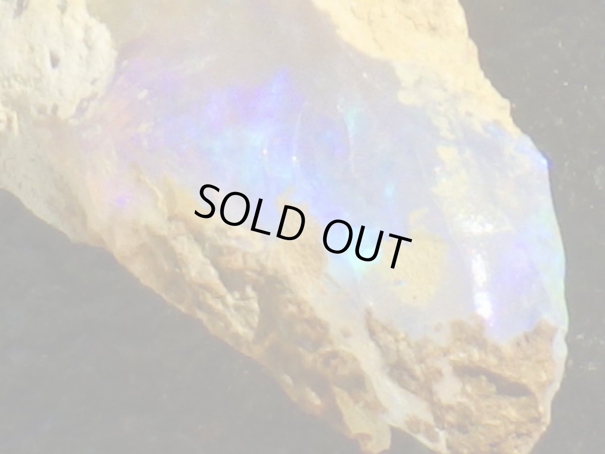 画像3: キルピー産オパールＤ (3)