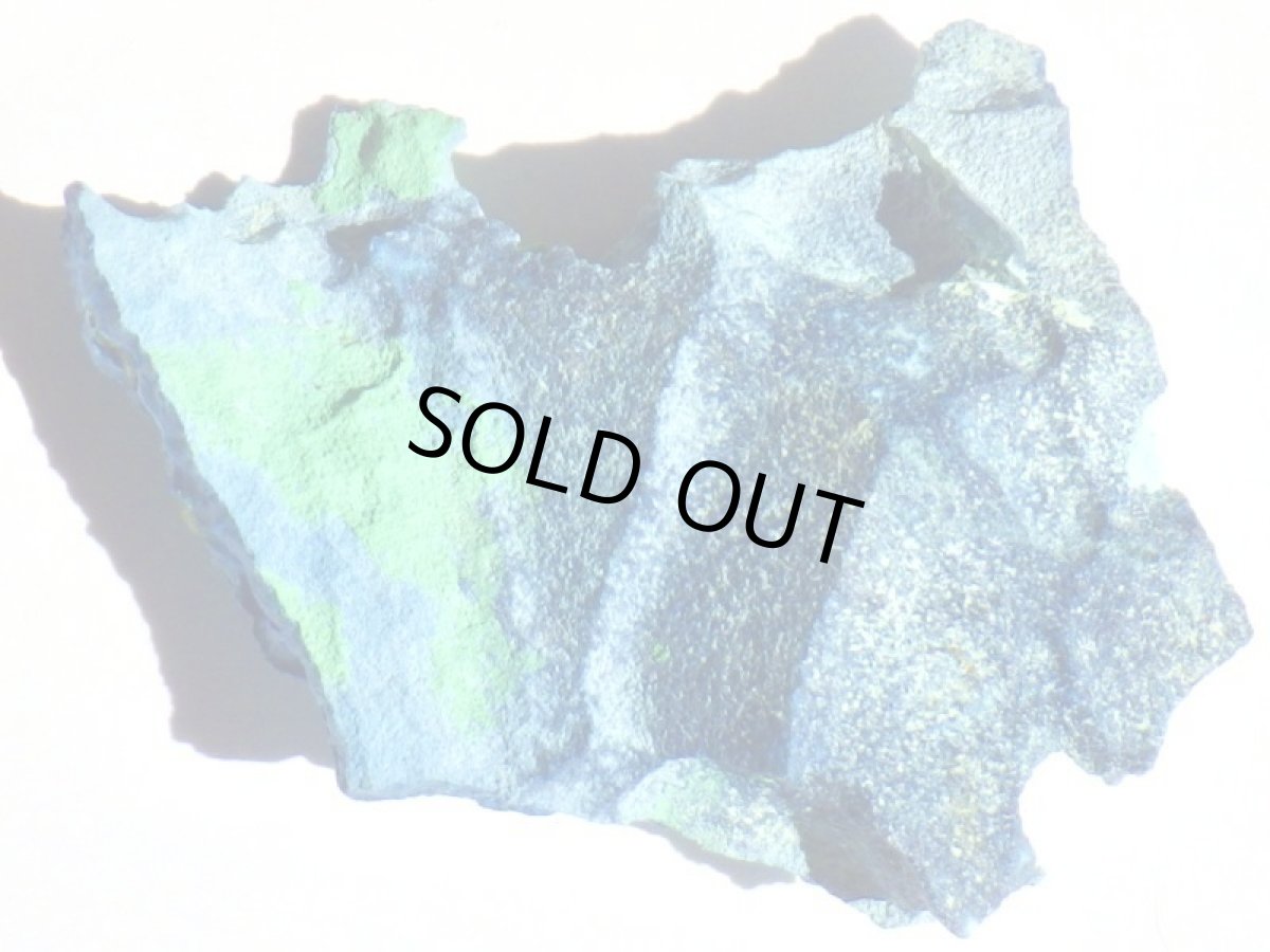 画像2: シャッタカイトＥ (2)