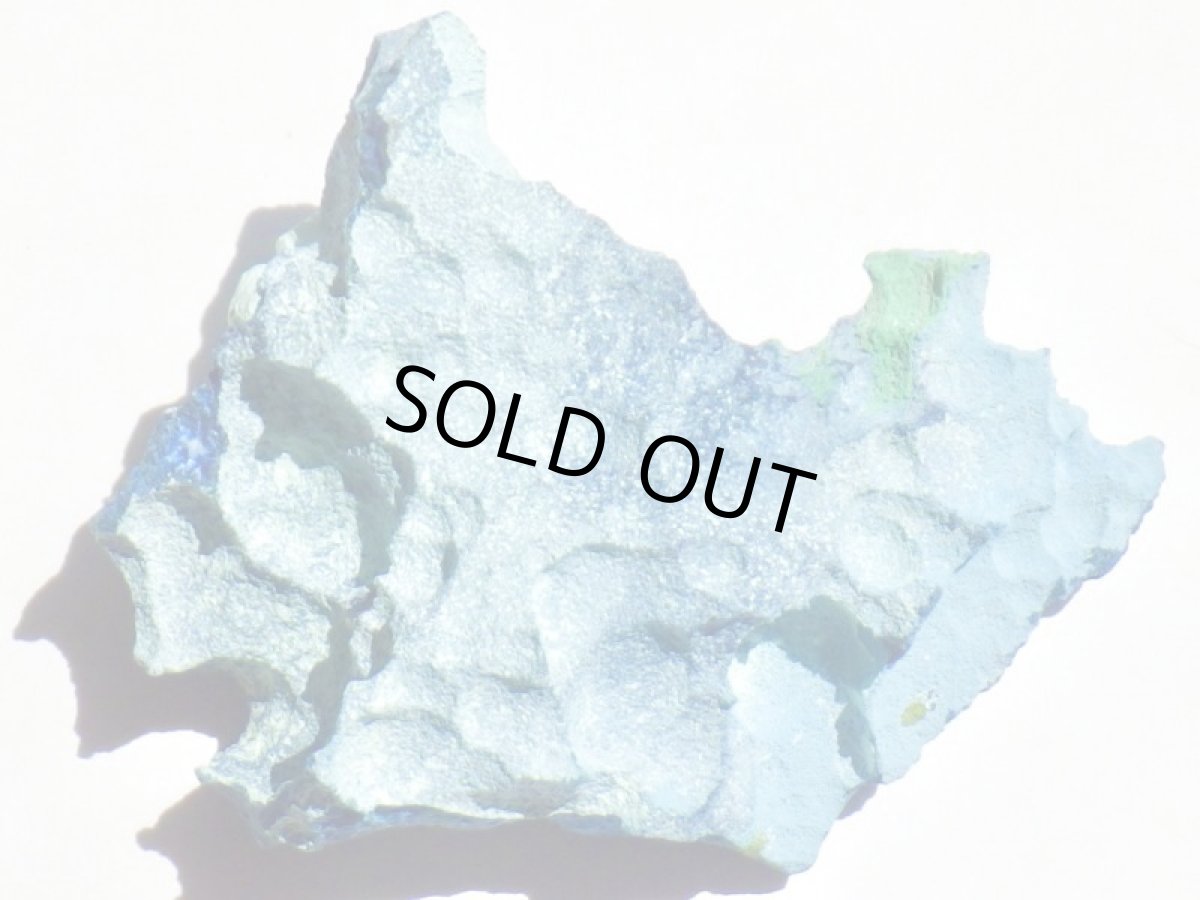 画像3: シャッタカイトＥ (3)