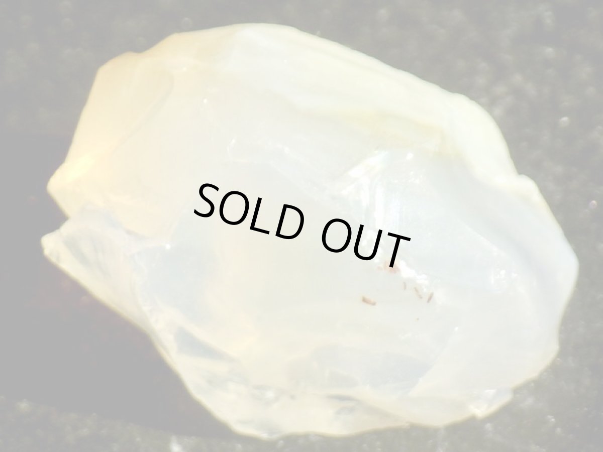 画像1: オレゴンオパールＦ (1)