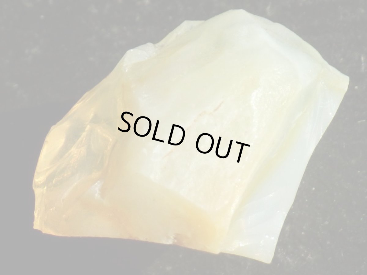 画像3: オレゴンオパールＦ (3)