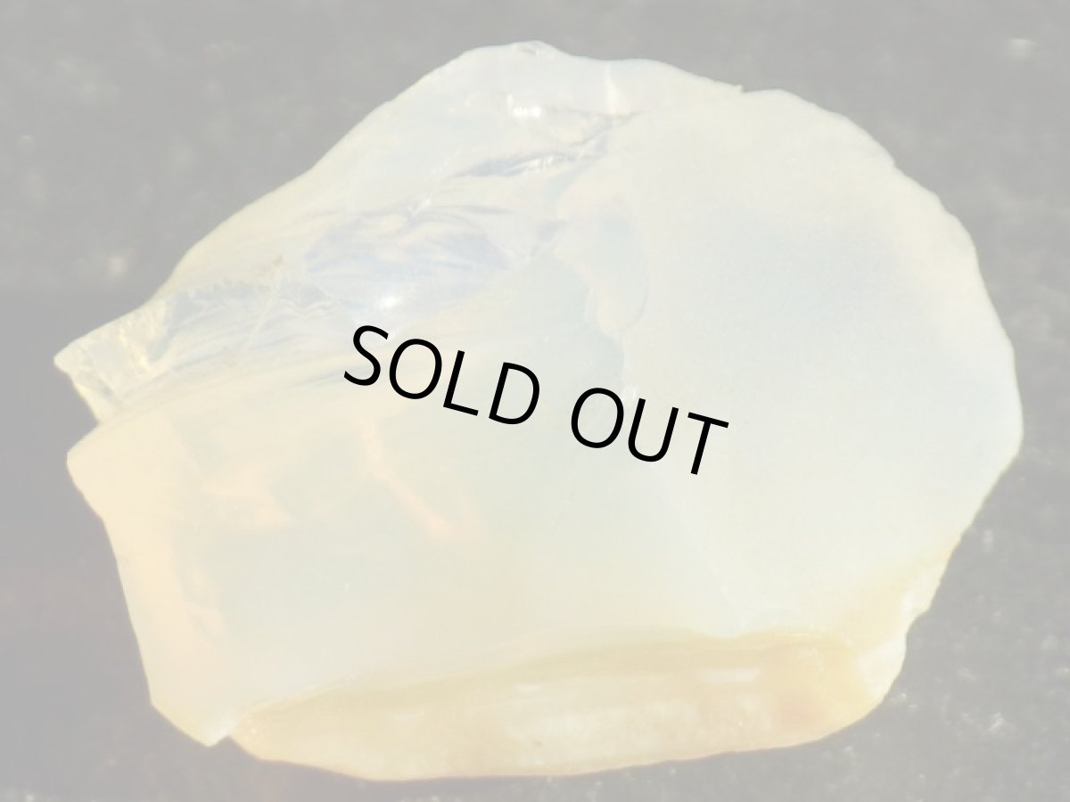 画像2: オレゴンオパールＦ (2)