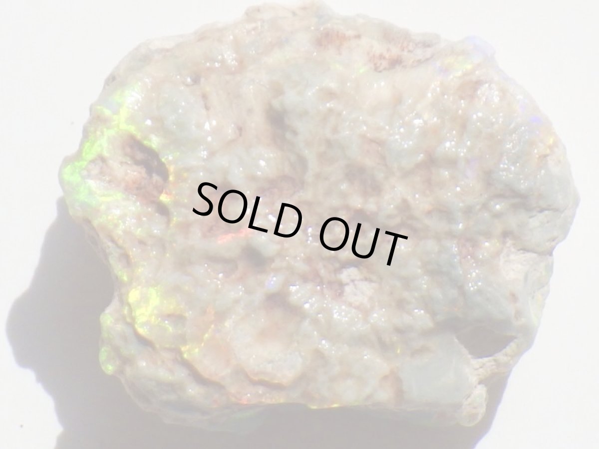 画像6: オパール化亀甲羅化石Ｂ (6)