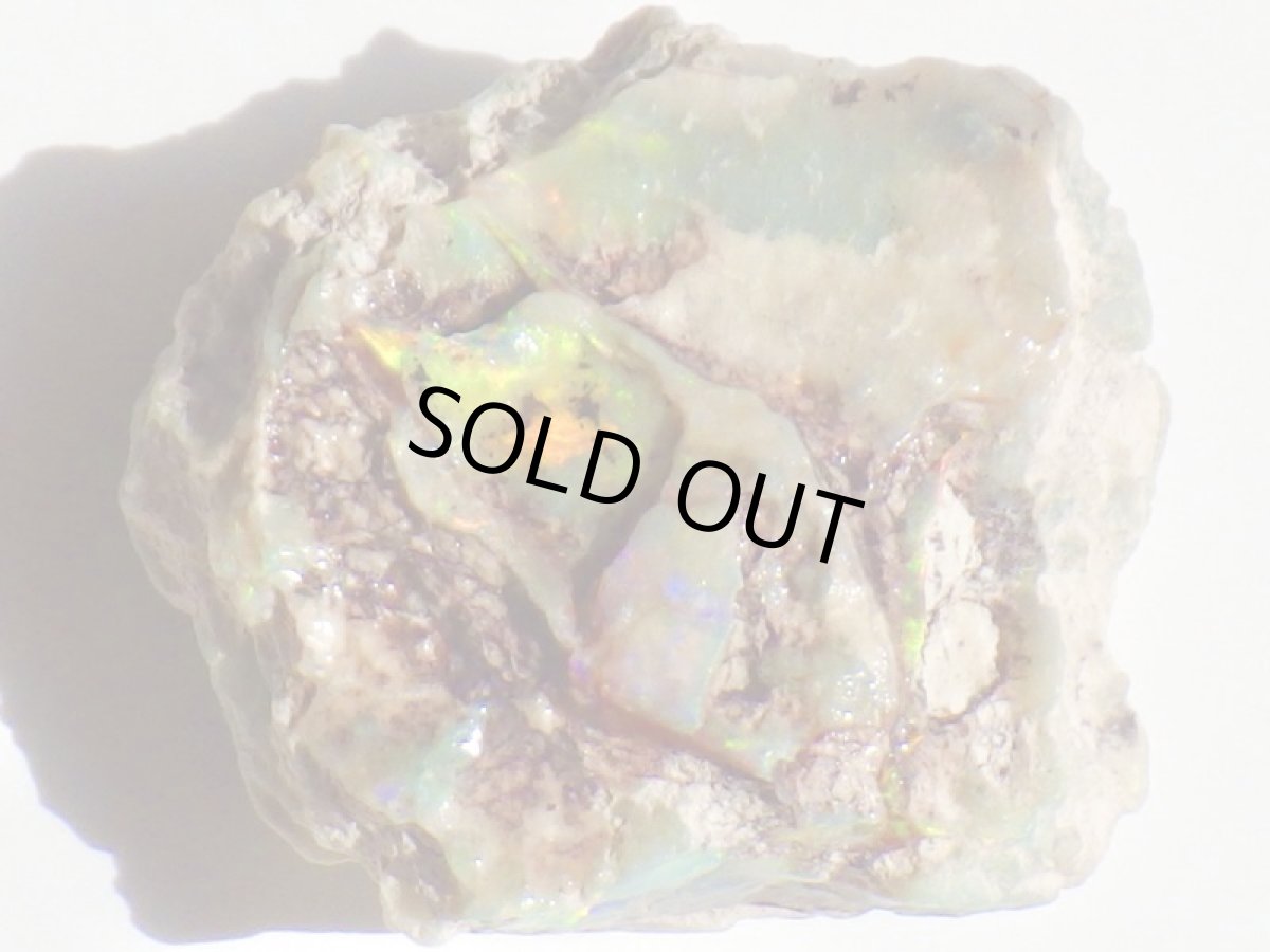 画像2: オパール化亀甲羅化石Ｂ (2)