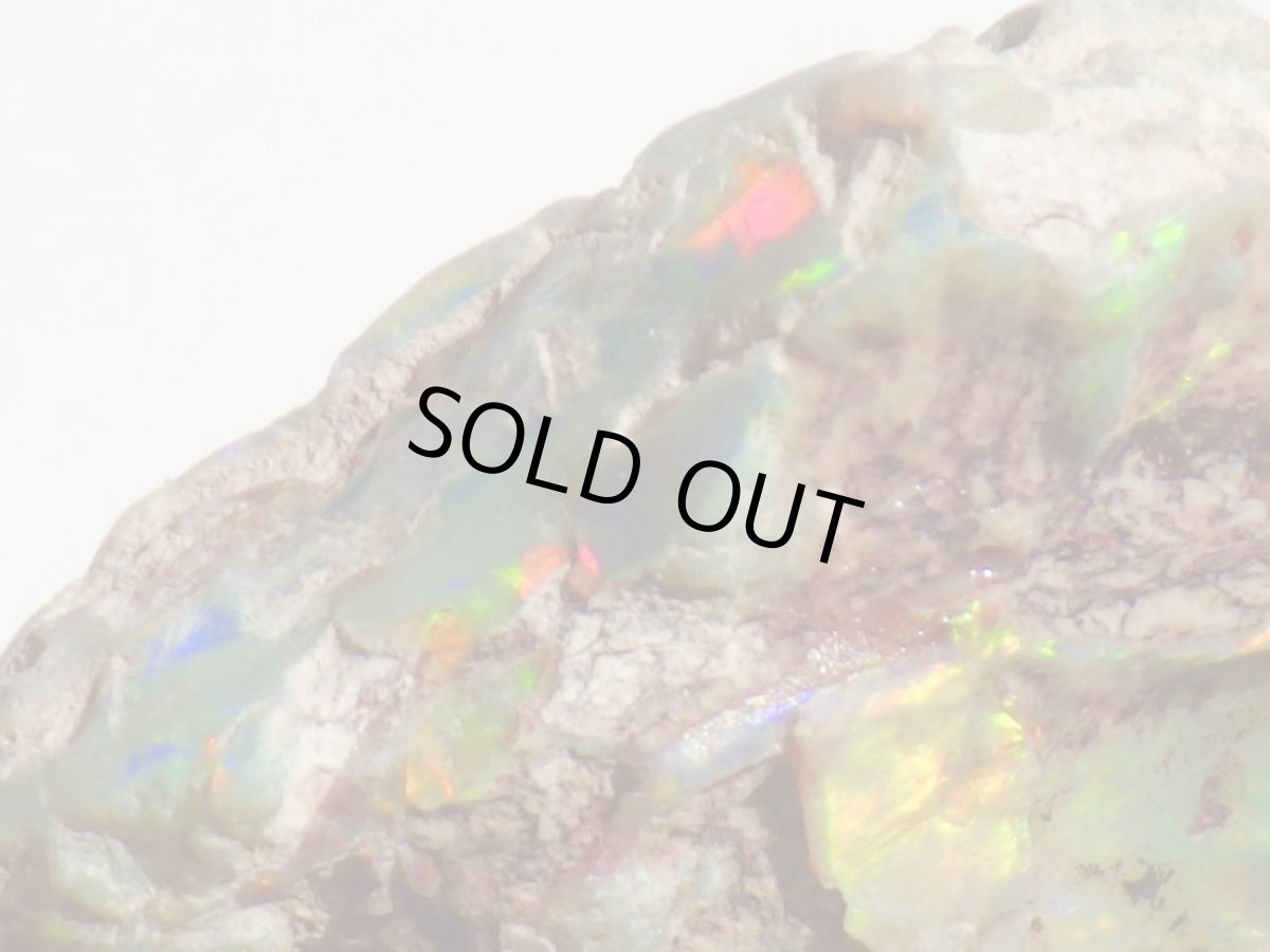 画像1: オパール化亀甲羅化石Ｂ (1)