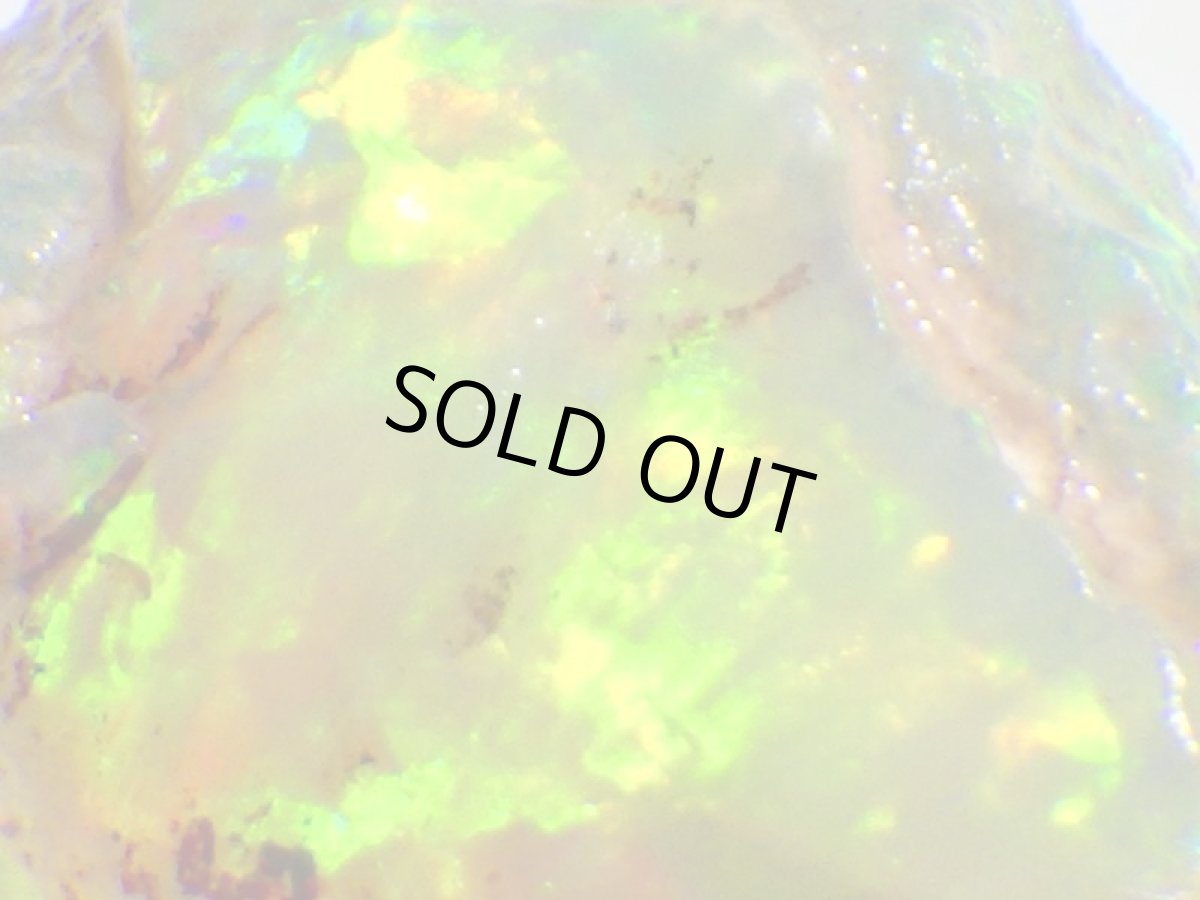 画像1: オパール化亀甲羅化石Ａ (1)