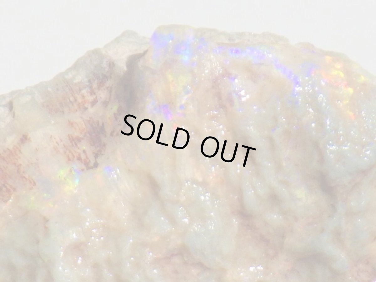 画像8: オパール化亀甲羅化石Ｂ (8)