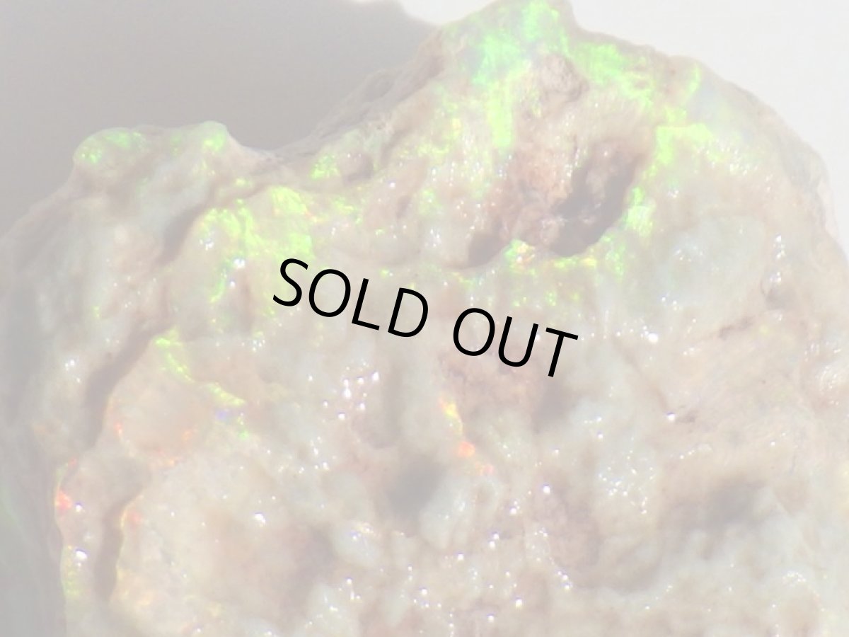 画像7: オパール化亀甲羅化石Ｂ (7)