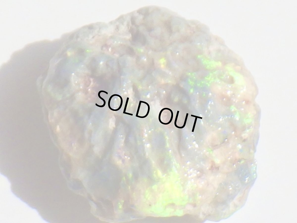 画像6: オパール化亀甲羅化石Ａ (6)