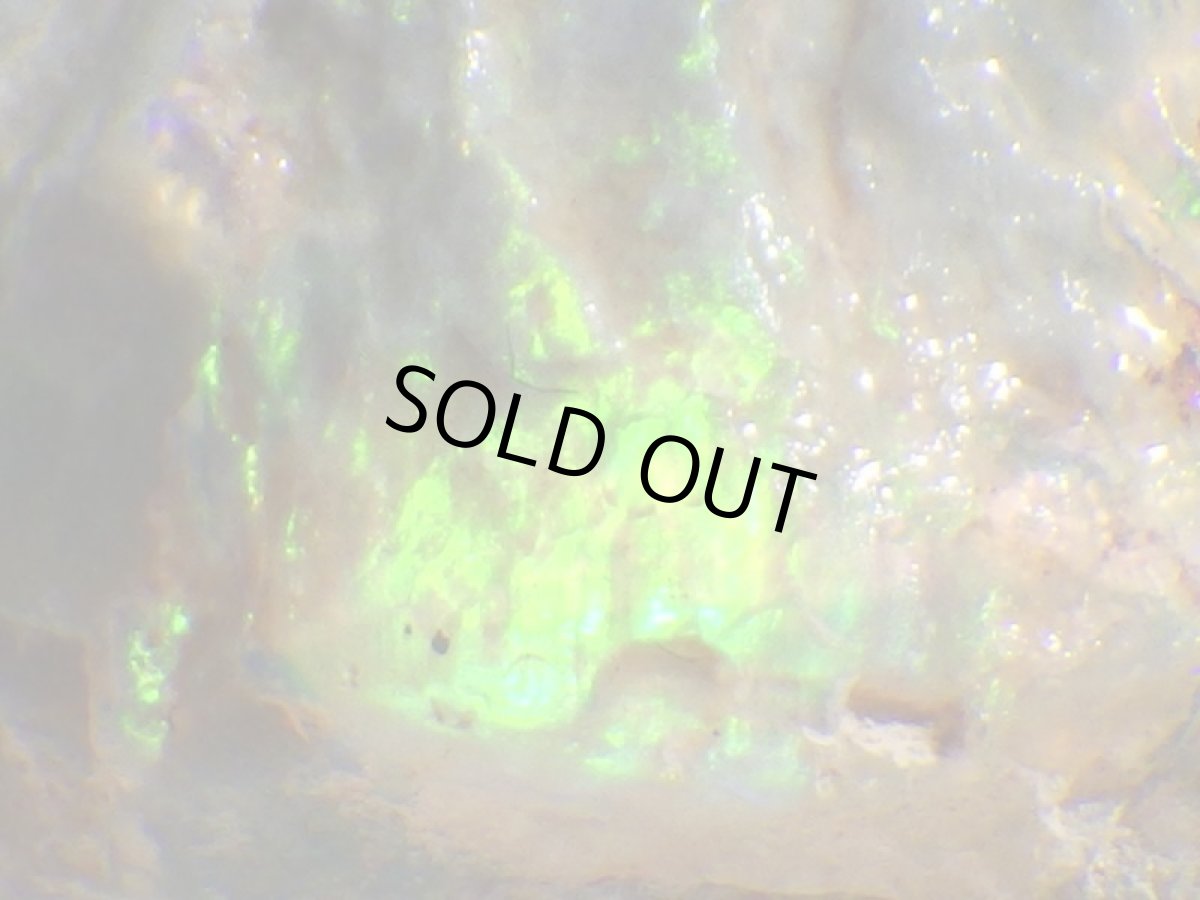 画像7: オパール化亀甲羅化石Ａ (7)