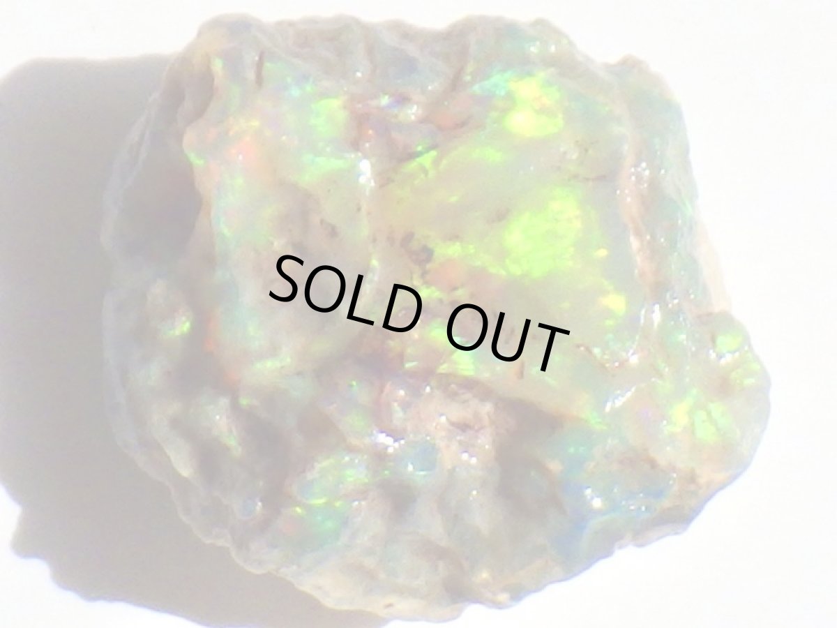 画像2: オパール化亀甲羅化石Ａ (2)