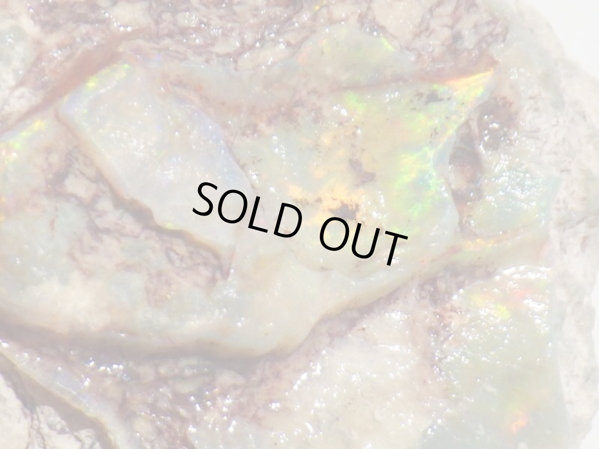 画像3: オパール化亀甲羅化石Ｂ (3)